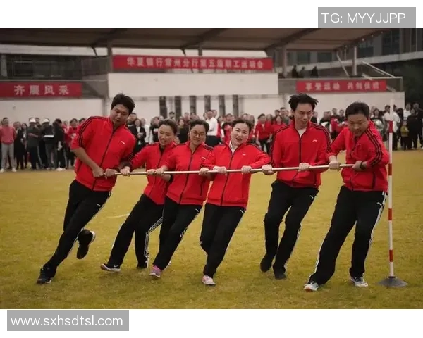 南京乒乓球队的奋进之路与精英赛的辉煌成就分析