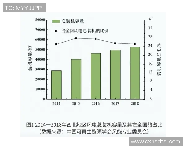 广州羽毛球队技术对比深度解析与未来发展展望 广州羽毛球队技术对比深度解析与未来发展展望