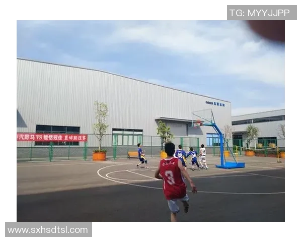 成都羽毛球队与上海羽毛球队赛后复盘力量对决的深度分析与启示 成都羽毛球队与上海羽毛球队赛后复盘力量对决的深度分析与启示