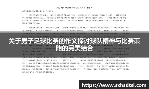 关于男子足球比赛的作文探讨球队精神与比赛策略的完美结合