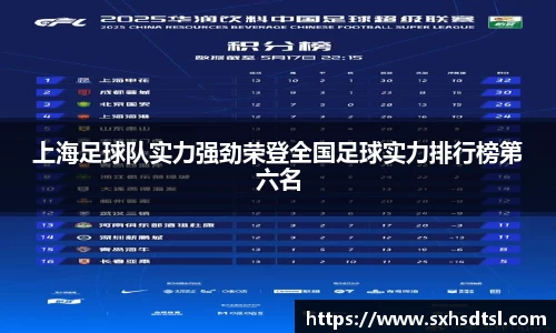 上海足球队实力强劲荣登全国足球实力排行榜第六名