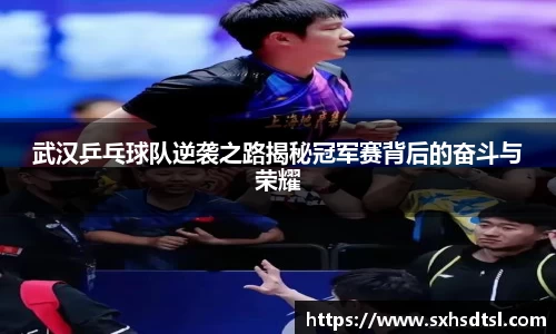 武汉乒乓球队逆袭之路揭秘冠军赛背后的奋斗与荣耀